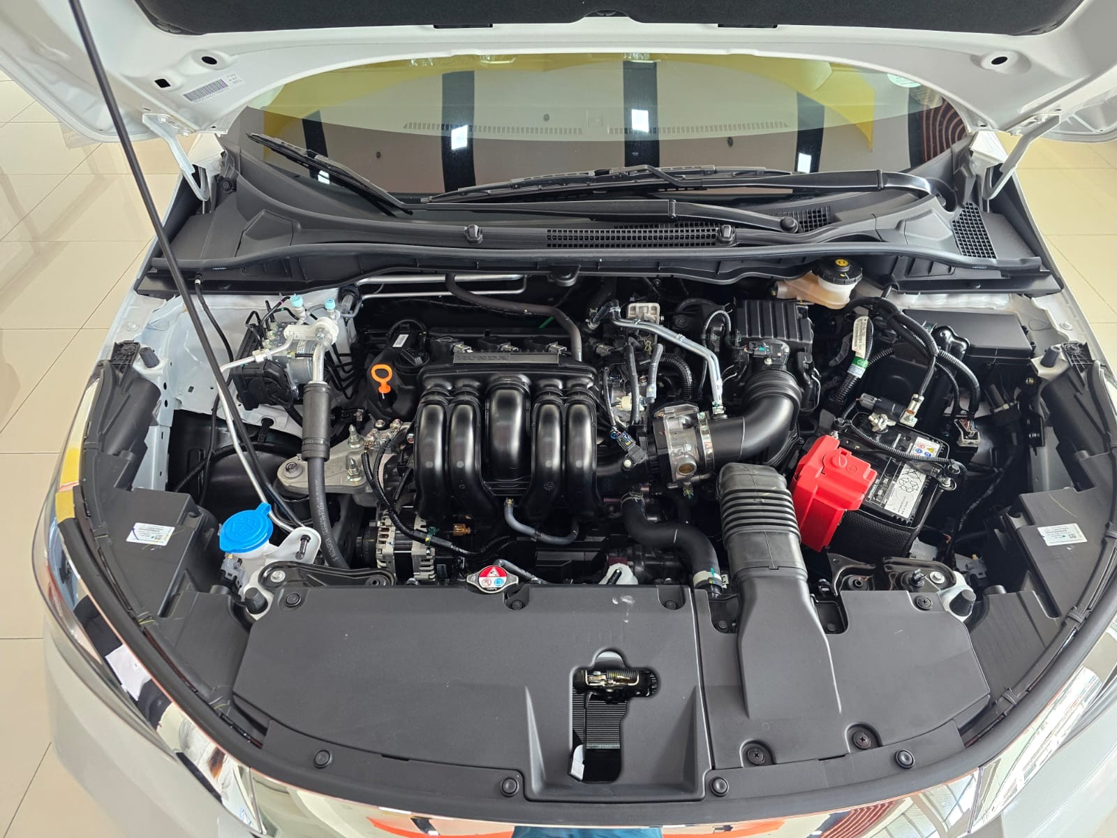 Main Image