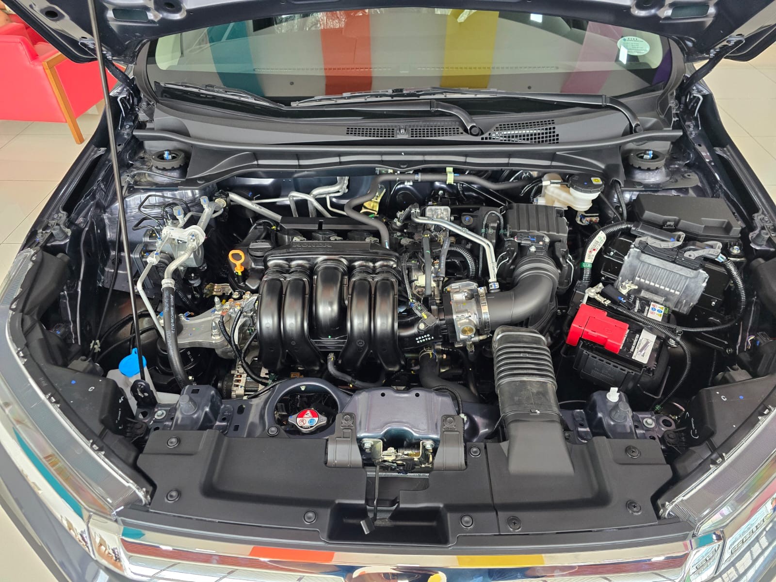 Main Image