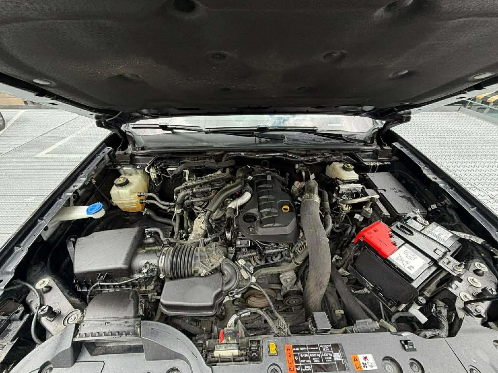 Main Image