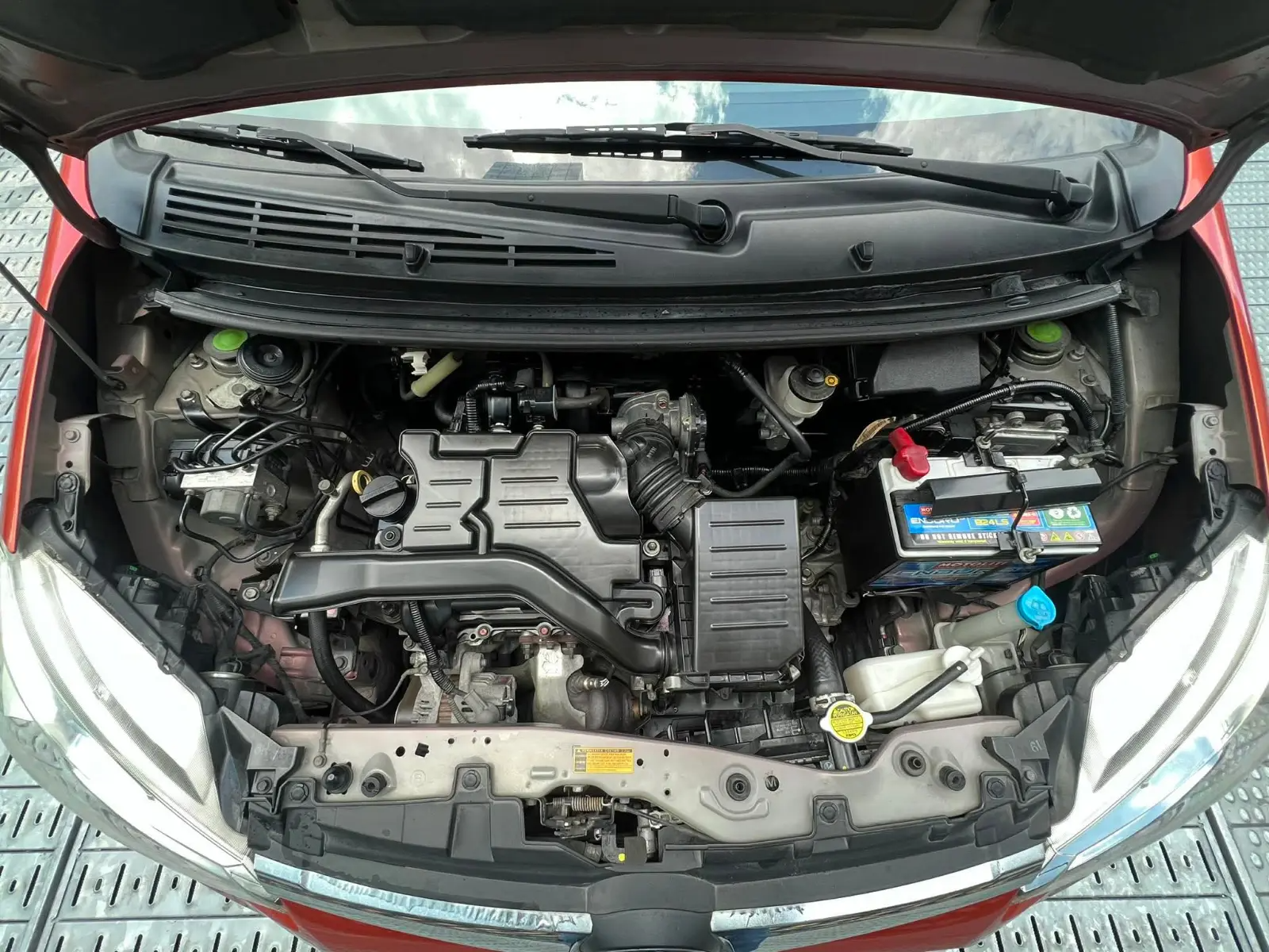 Main Image