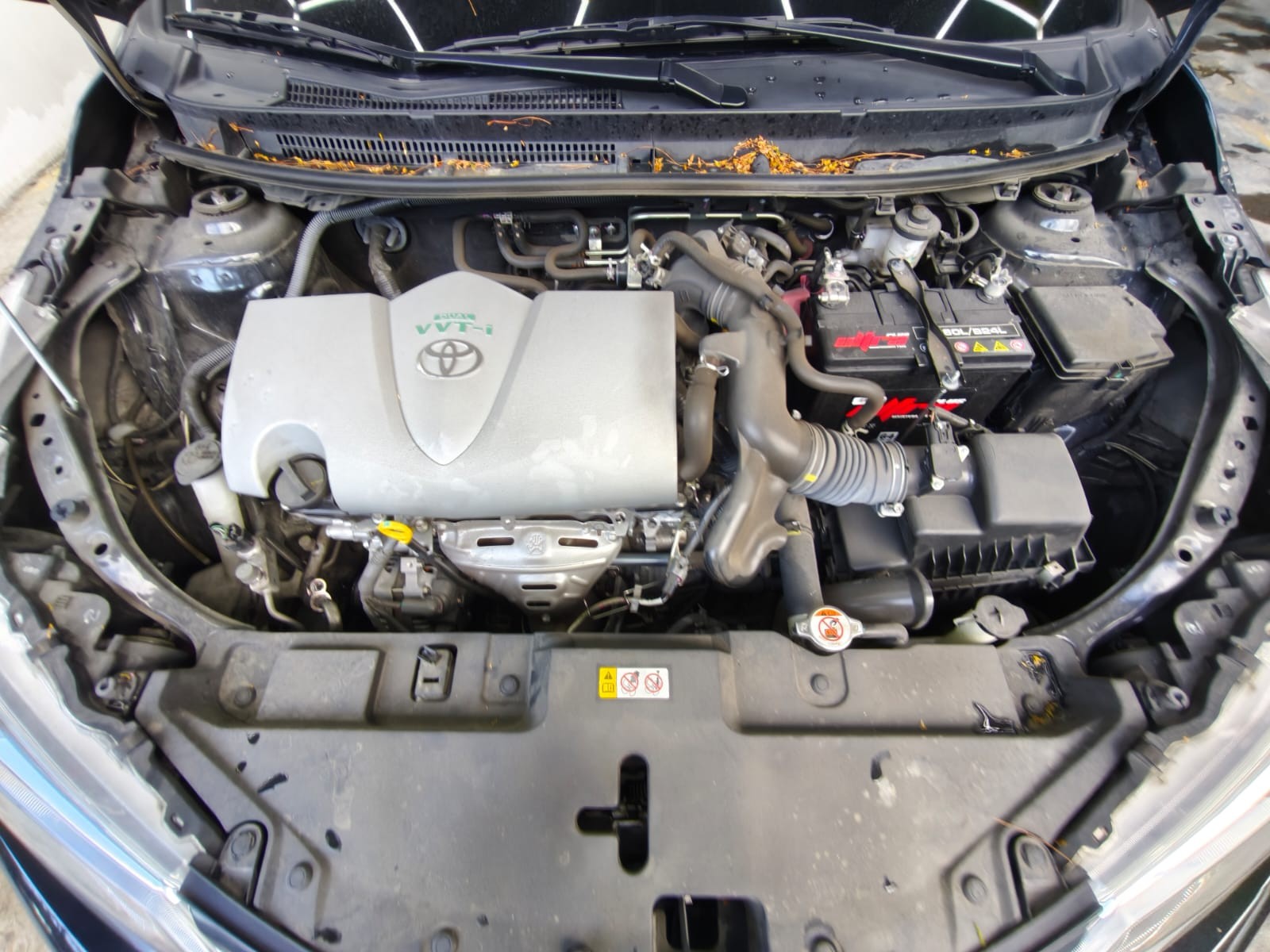 Main Image