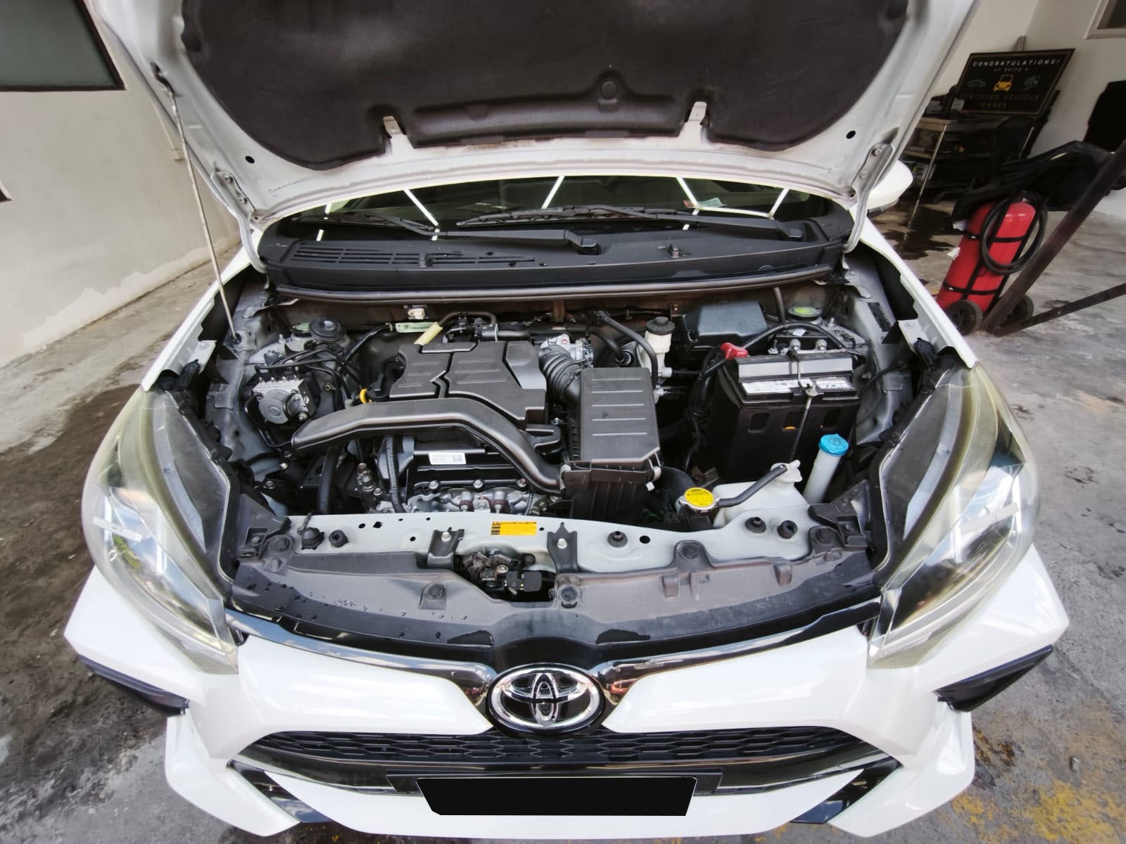 Main Image